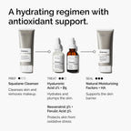 Regimen Infographic Resveratrol 3% + Ferulic 3%